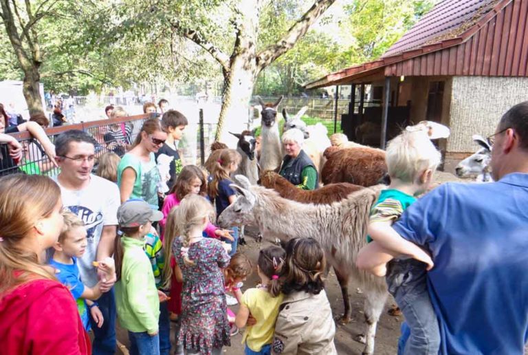 Zoo Hoyerswerda