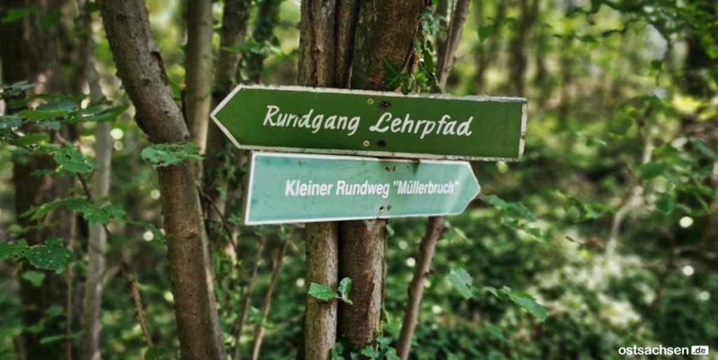 Granitabbaumuseum Königshainer Berge