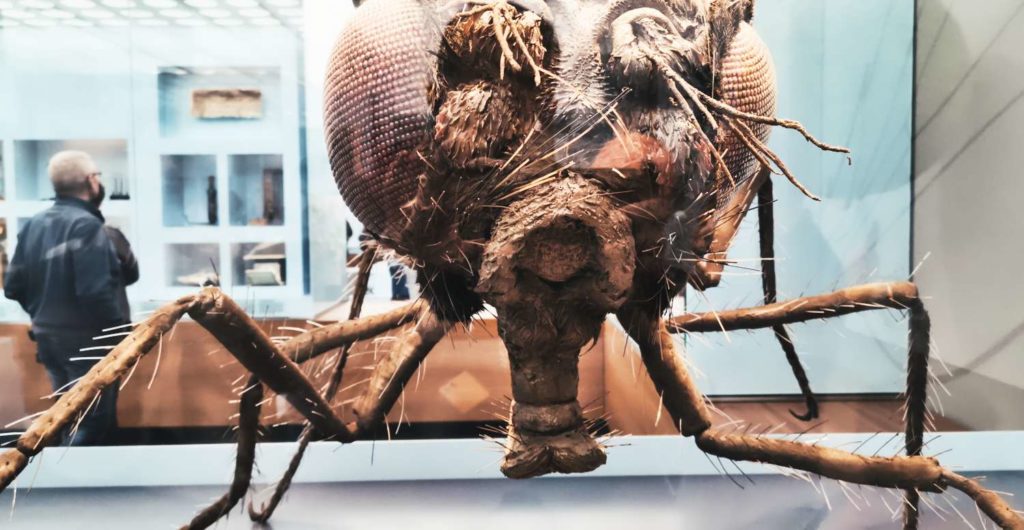Deutsches Hygiene-Museum und Kinder-Museum