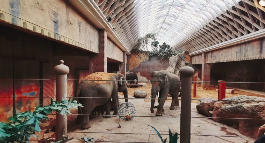 Zoo Leipzig Ausflug