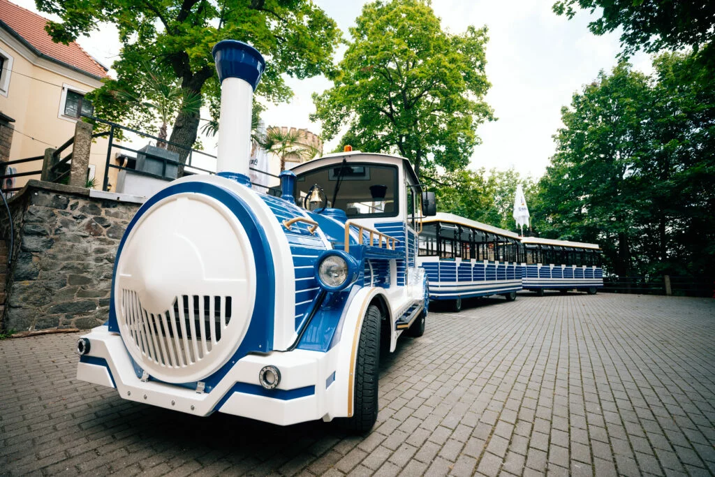 Hauptfoto des Artikels