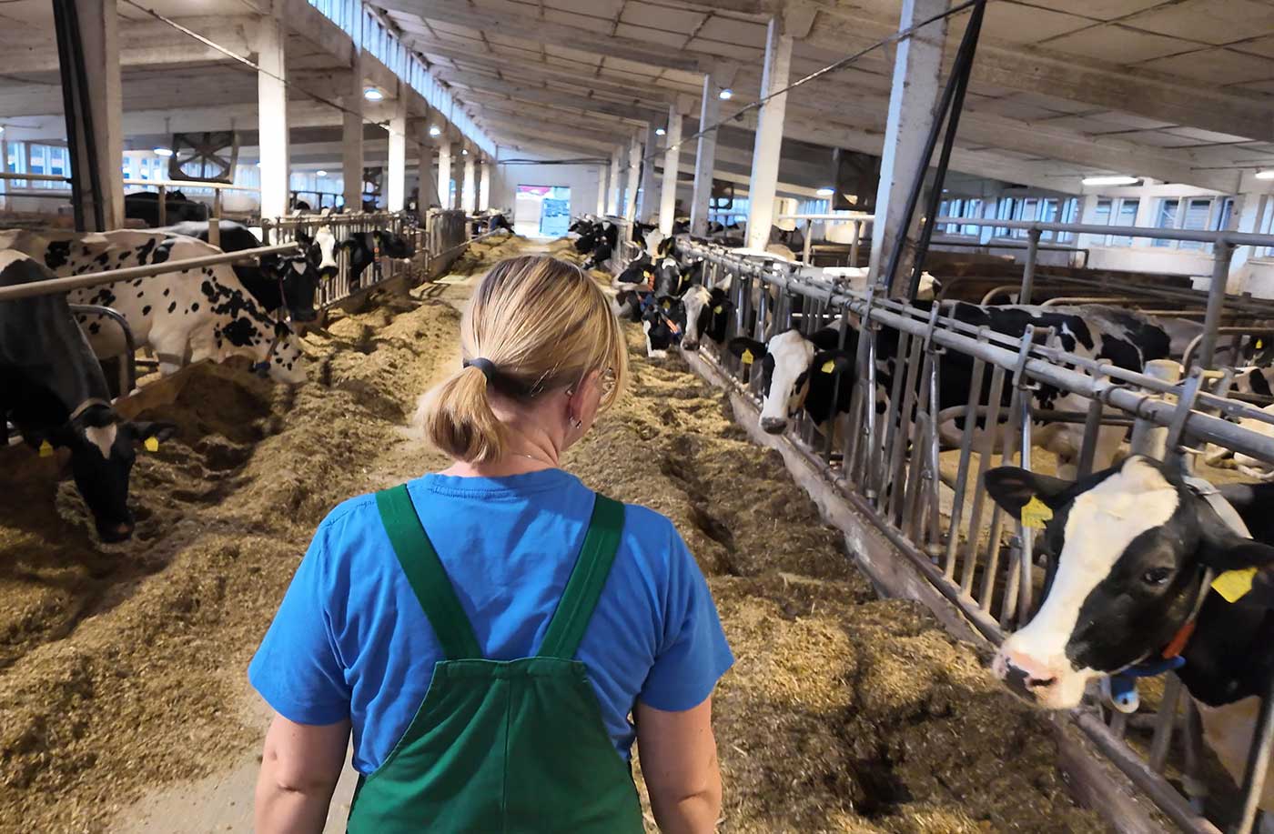 Agrargenossenschaft See hinter den kulissen