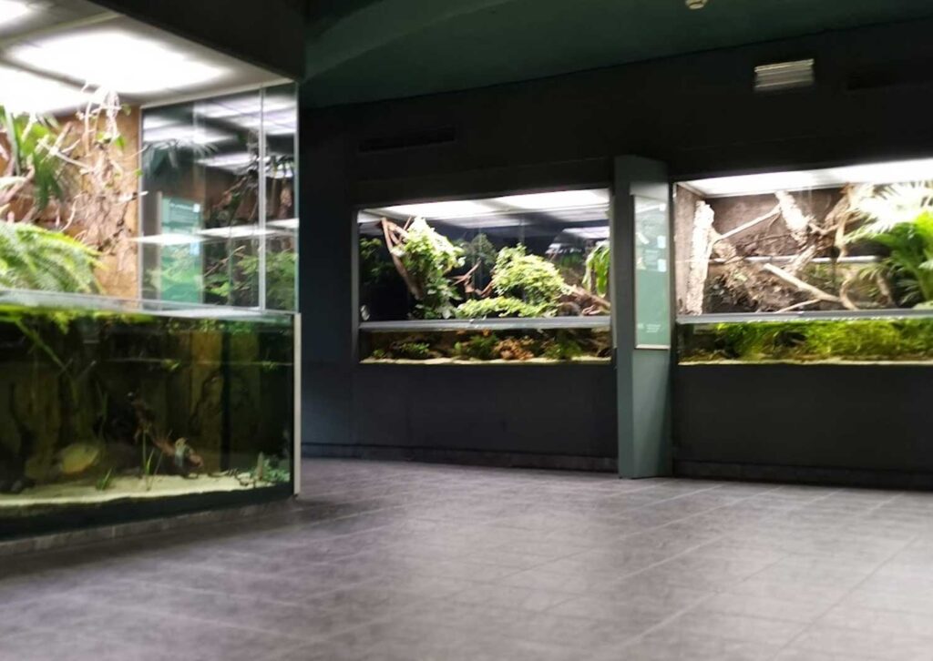 Aquarien Goerlitz Naturkundemuseum