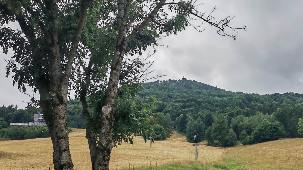 Familienwanderung auf die Lausche durch Waltersdorf