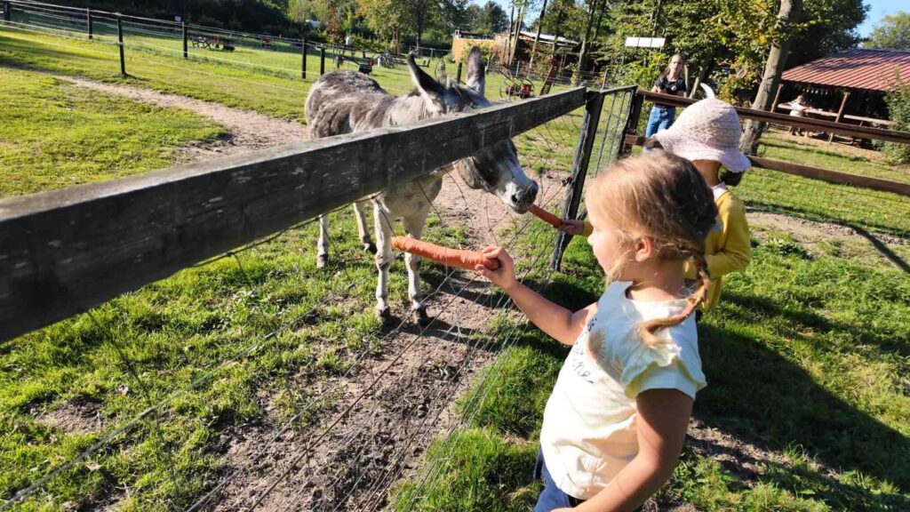 Freizeit und Campingpark Thraena 1 Freizeit und Campingpark Thraena 1