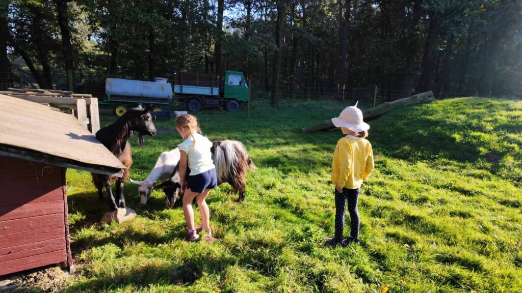 Freizeit und Campingpark Thraena 3 Freizeit und Campingpark Thraena 3