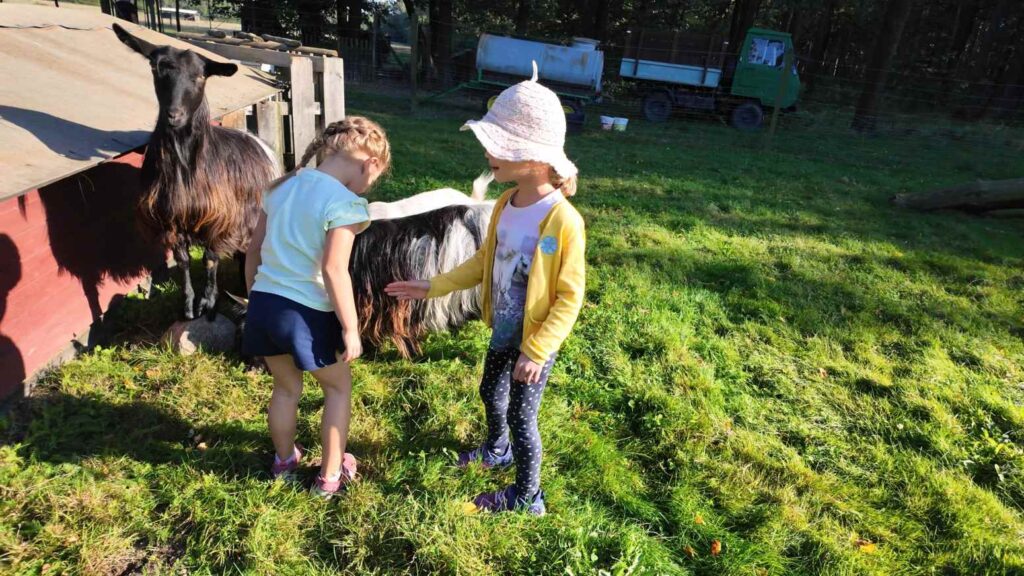 Freizeit und Campingpark Thraena 6 Freizeit und Campingpark Thraena 6