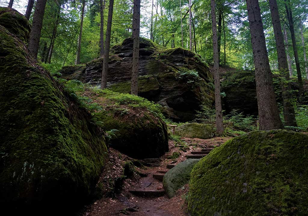 Waldhusche Hinterhermsdorf: Natur und Spaß für die ganze Familie
