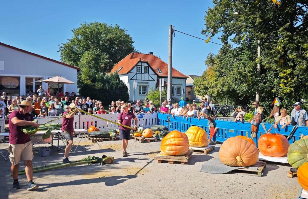 Kuerbiswiegen in Ludwigsdorf Kuerbiswiegen in Ludwigsdorf