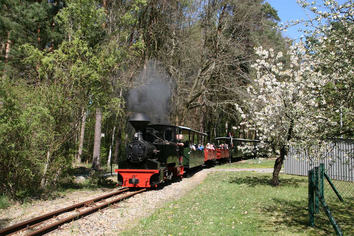 Osterdampf Waldeisenbahn