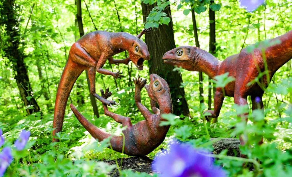 Saurierpark Bautzen