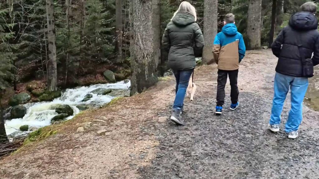 Skywalk Waldweg Bach
