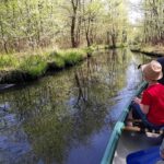 Spreewald