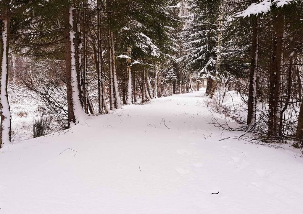 Szklarska Poreba6 Szklarska Poreba6