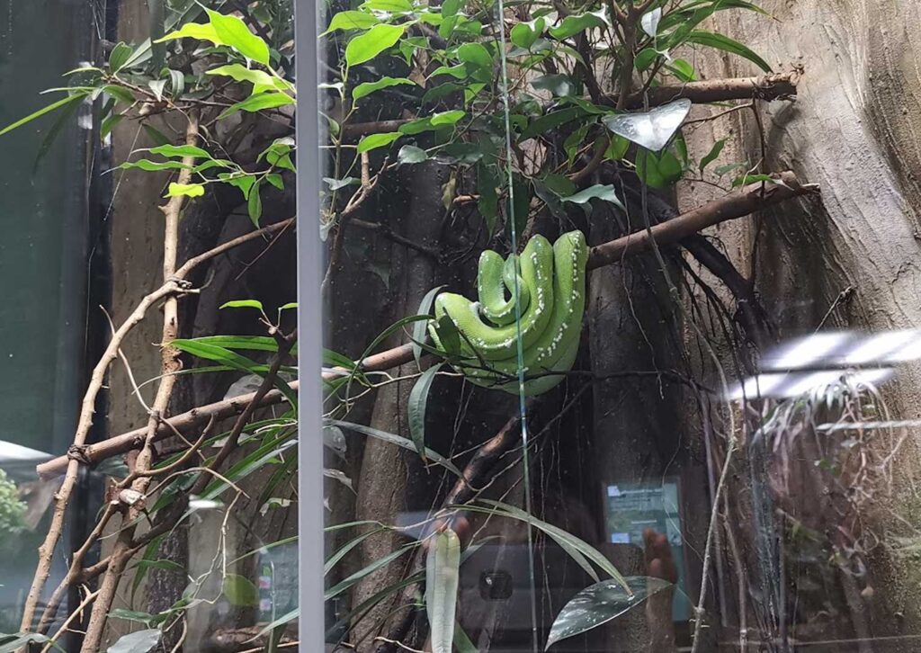 Terrarium Naturkindemuseum