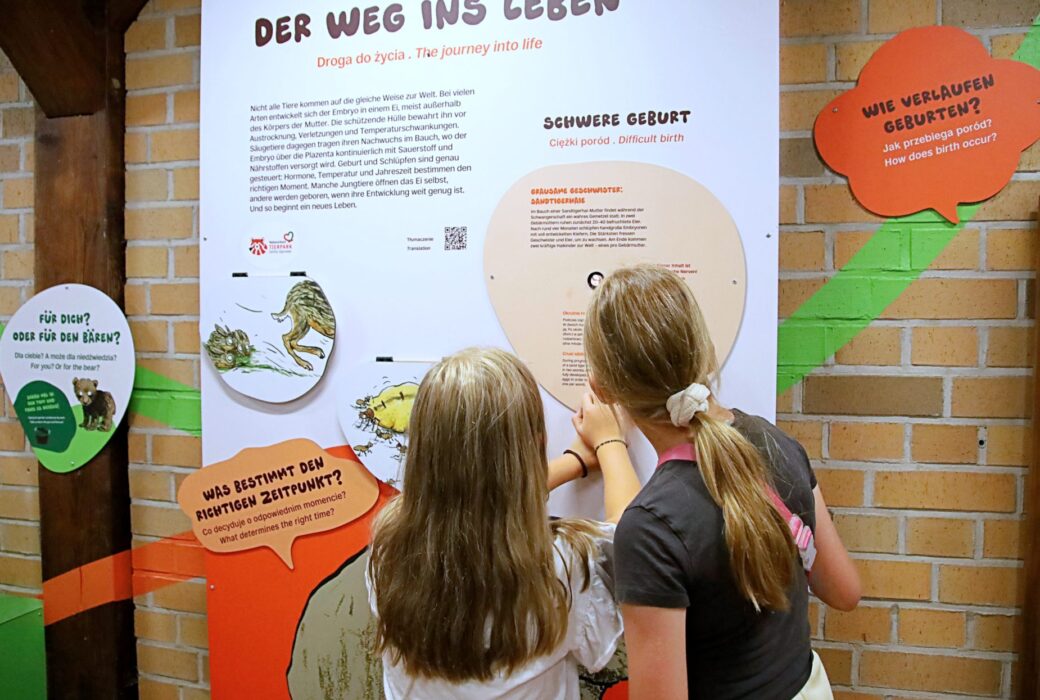 Wild Love Stories im Tierpark Goerlitz aktuell 5