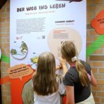Wild Love Stories im Tierpark Goerlitz aktuell 5