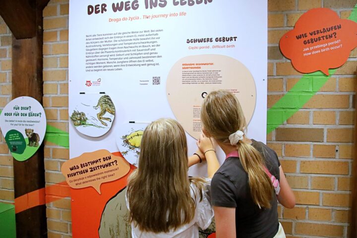 Wild Love Stories im Tierpark Goerlitz aktuell 5