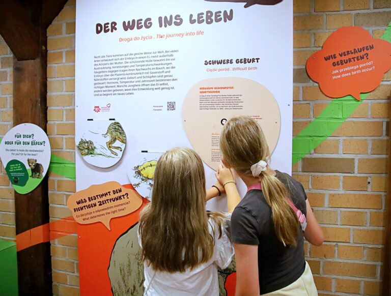 Wild Love Stories im Tierpark Goerlitz aktuell 5 Wild Love Stories im Tierpark Görlitz: Entdeckerwelt für Familien