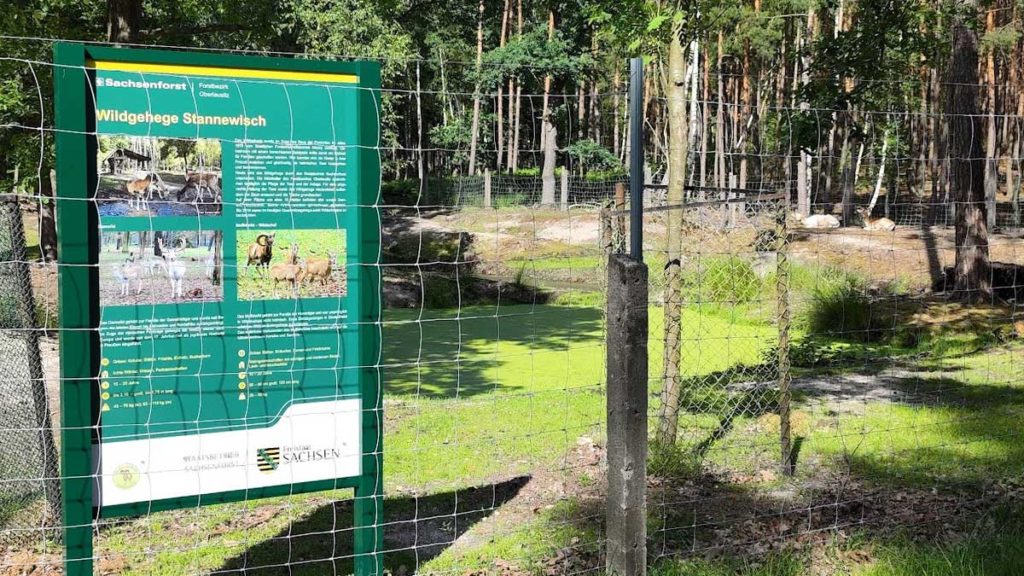 Wildgehege Stannewisch
