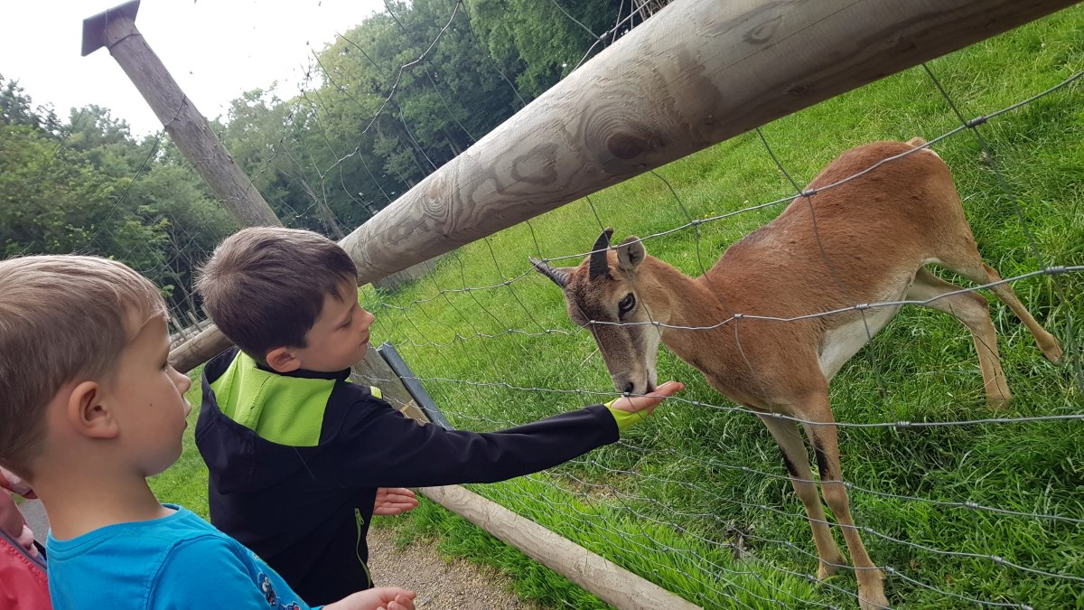Wildgehege Moritzburg