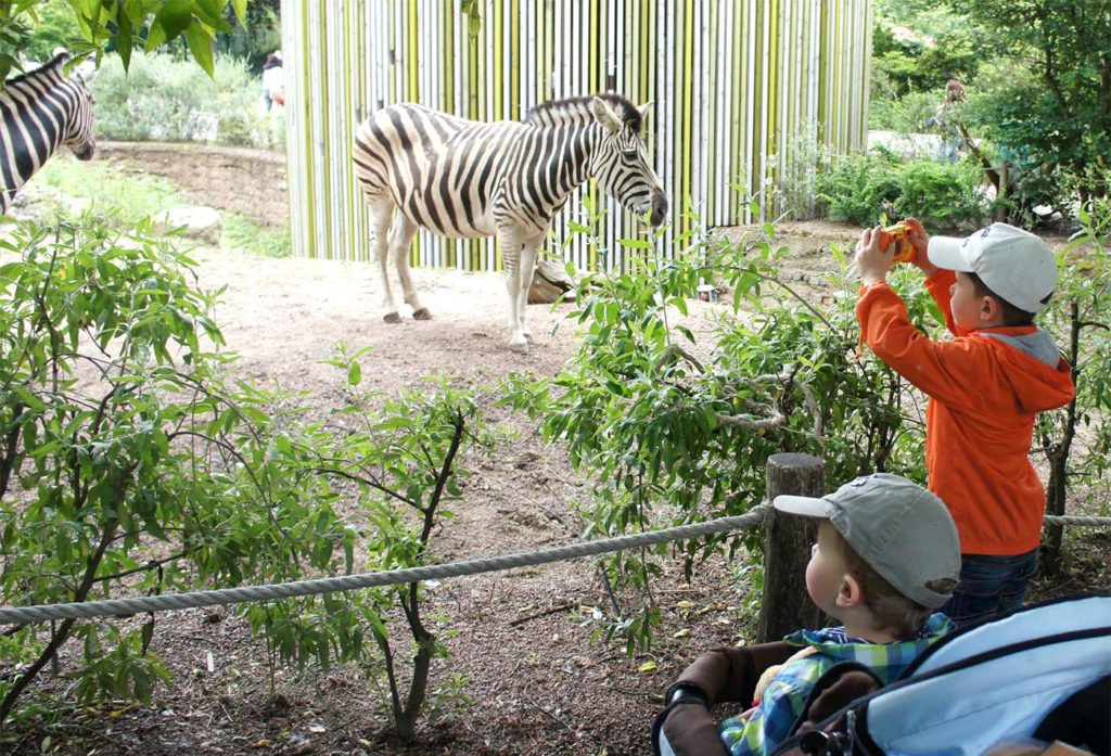 Zoo Dresden