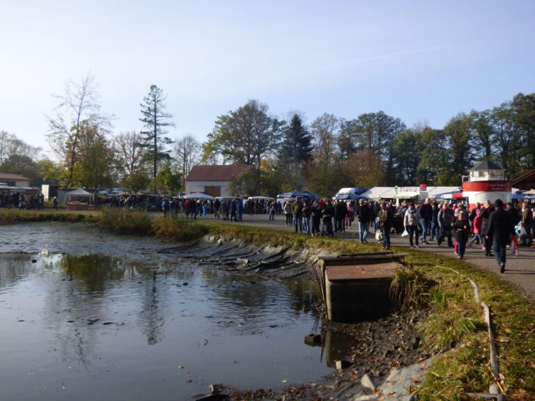 Schaufischen in Petershain am 31.10.2026: Abfischen und Bauernmarkt