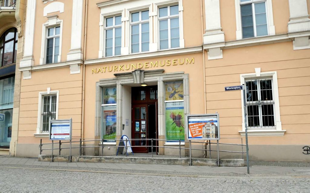 Senckenberg Museum für Naturkunde Görlitz