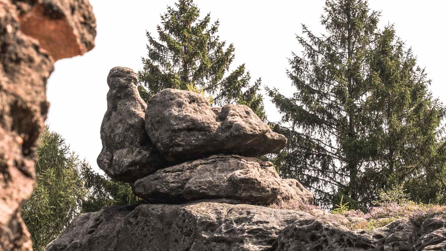 steinzoo zittauer gebirge 15 steinzoo zittauer gebirge 15