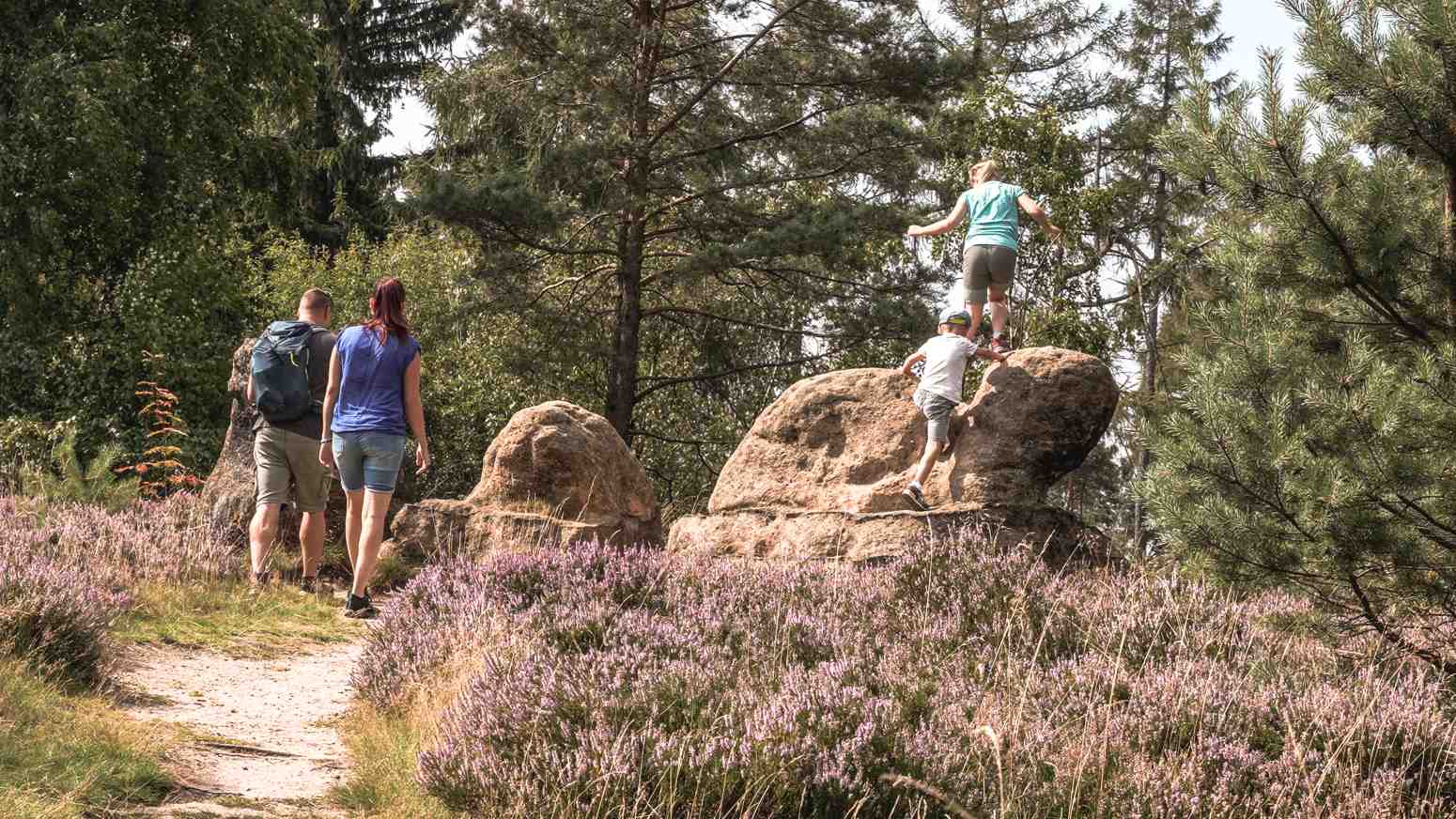 steinzoo zittauer gebirge 8 steinzoo zittauer gebirge 8
