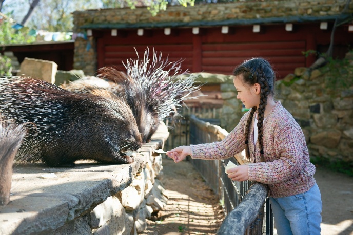 tierpark goerlitz 2