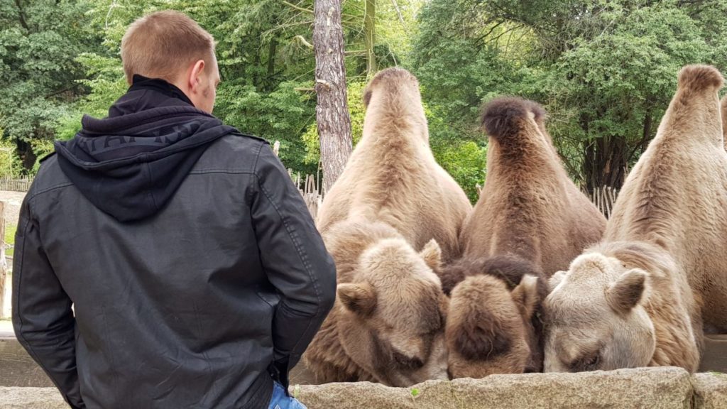 Naturschutz-Tierpark Görlitz-Zgorzelec
