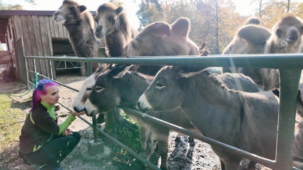 Tierpark Weißwasser