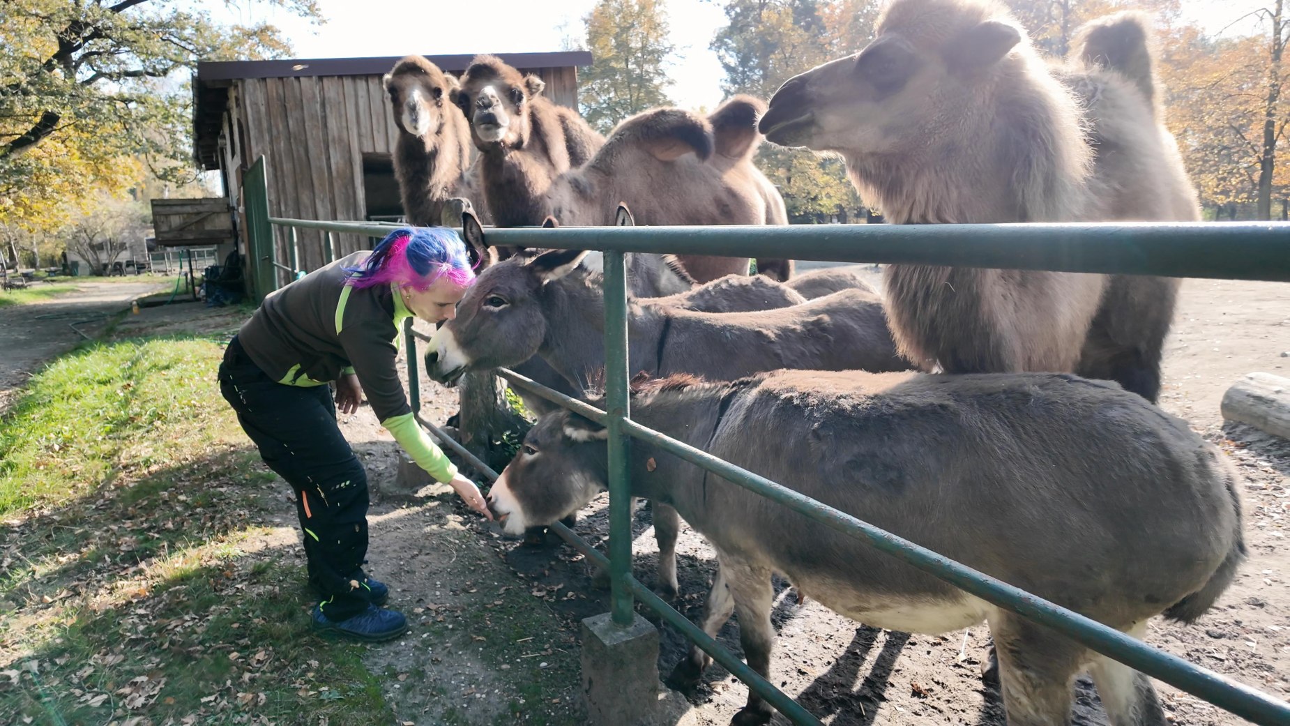 tierpark weisswasser entdecken 5