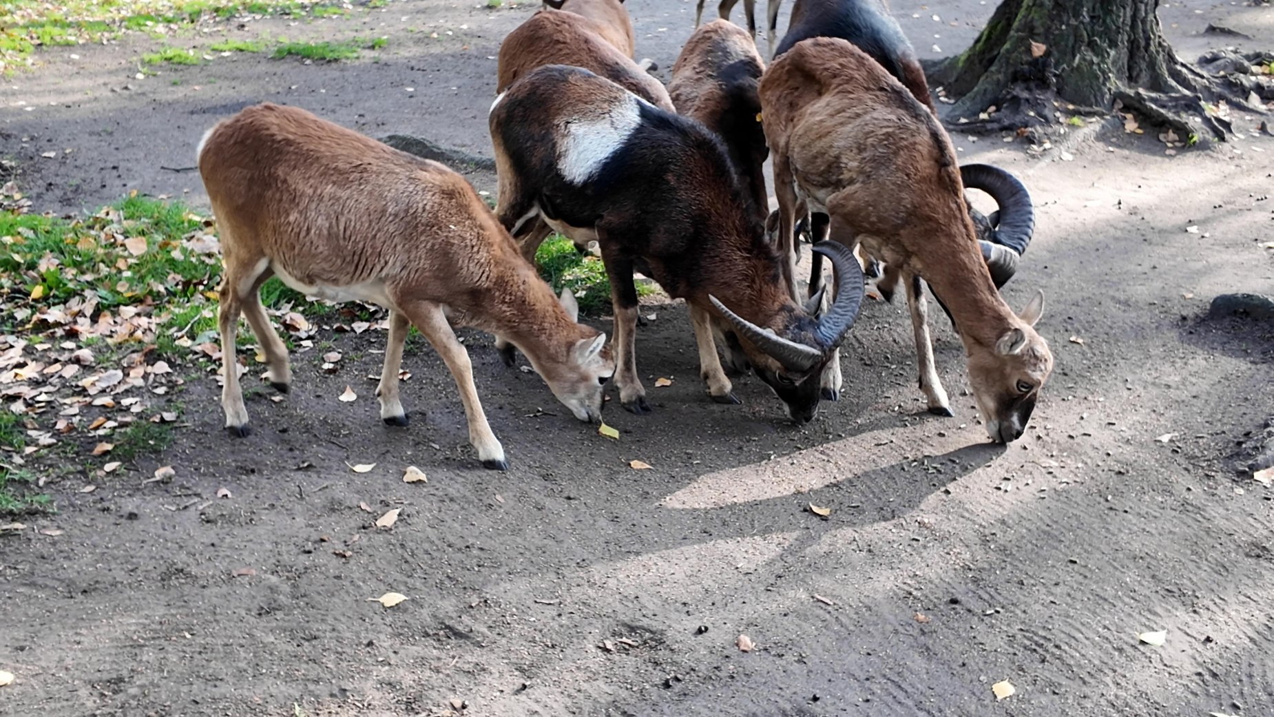 Tierpark Weißwasser